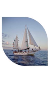 Sumud flotilla